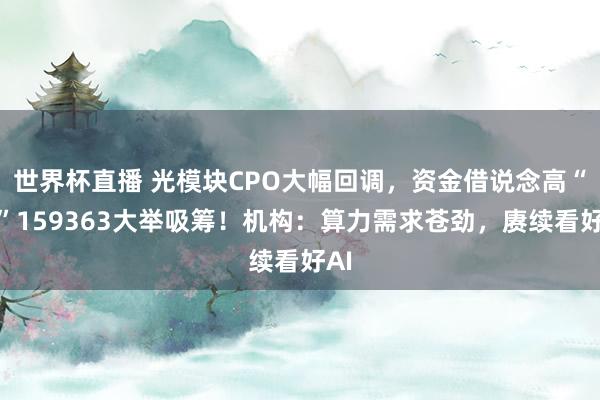 世界杯直播 光模块CPO大幅回调，资金借说念高“光”159363大举吸筹！机构：算力需求苍劲，赓续看好AI