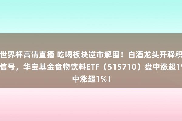 世界杯高清直播 吃喝板块逆市解围!白酒龙头开释积极信号,华宝基金食物饮料ETF(515710)盘中涨超1%!