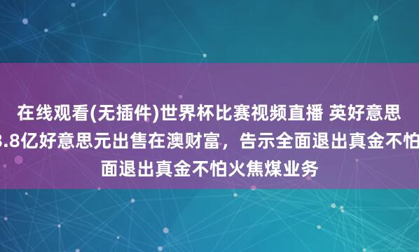 在线观看(无插件)世界杯比赛视频直播 英好意思资源集团38.8亿好意思元出售在澳财富,告示全面退出真金不怕火焦煤业务