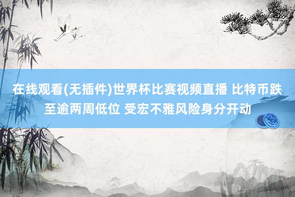 在线观看(无插件)世界杯比赛视频直播 比特币跌至逾两周低位 受宏不雅风险身分开动