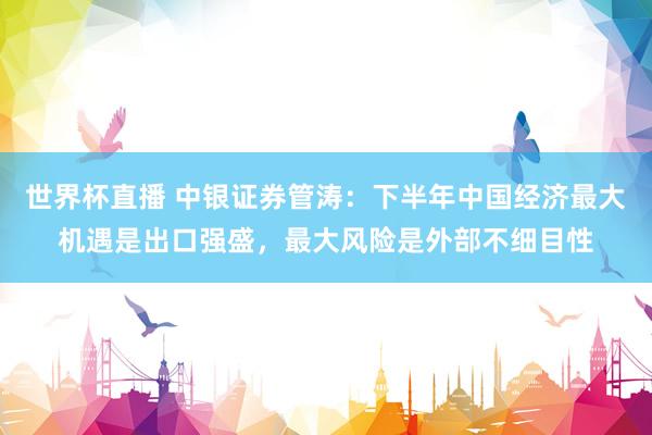 世界杯直播 中银证券管涛:下半年中国经济最大机遇是出口强盛,最大风险是外部不细目性