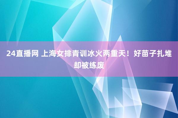 24直播网 上海女排青训冰火两重天!好苗子扎堆却被练废
