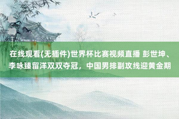 在线观看(无插件)世界杯比赛视频直播 彭世坤、李咏臻留洋双双夺冠,中国男排副攻线迎黄金期