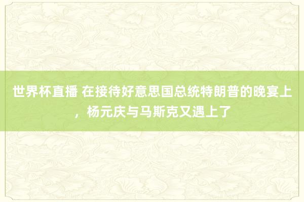 世界杯直播 在接待好意思国总统特朗普的晚宴上,杨元庆与马斯克又遇上了