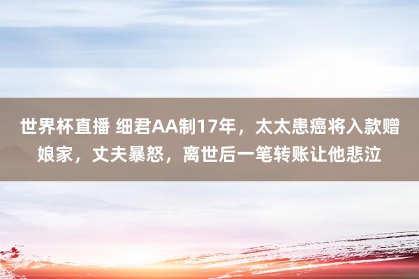 世界杯直播 细君AA制17年,太太患癌将入款赠娘家,丈夫暴怒,离世后一笔转账让他悲泣