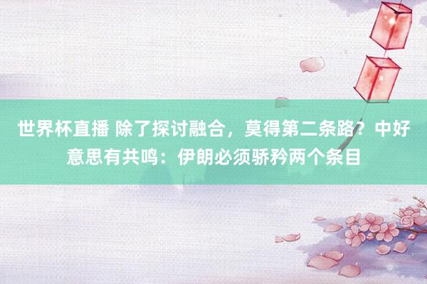 世界杯直播 除了探讨融合,莫得第二条路?中好意思有共鸣:伊朗必须骄矜两个条目