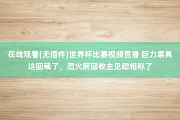 在线观看(无插件)世界杯比赛视频直播 巨力索具这回栽了，蹭火箭回收主见蹭相称了