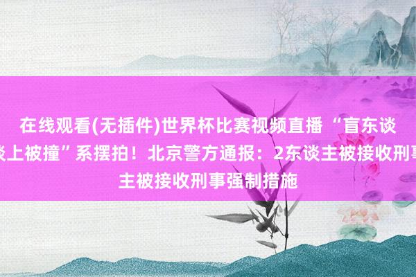 在线观看(无插件)世界杯比赛视频直播 “盲东谈主女孩盲谈上被撞”系摆拍！北京警方通报：2东谈主被接收刑事强制措施
