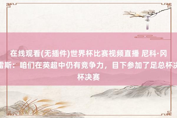 在线观看(无插件)世界杯比赛视频直播 尼科·冈萨雷斯：咱们在英超中仍有竞争力，目下参加了足总杯决赛