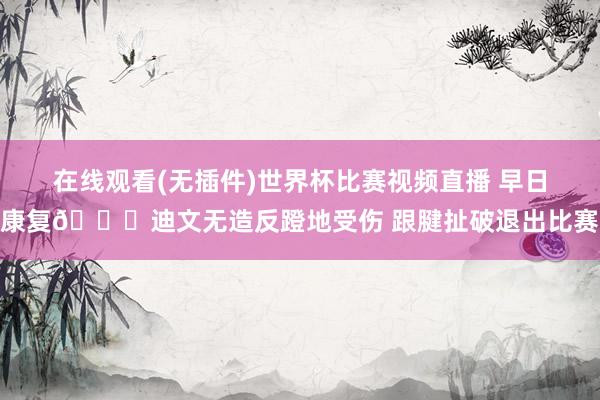 在线观看(无插件)世界杯比赛视频直播 早日康复🙏迪文无造反蹬地受伤 跟腱扯破退出比赛