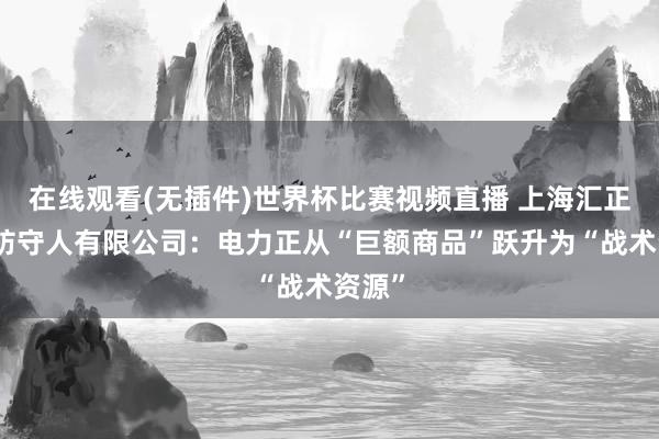 在线观看(无插件)世界杯比赛视频直播 上海汇正财经防守人有限公司:电力正从“巨额商品”跃升为“战术资源”