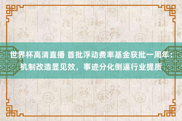 世界杯高清直播 首批浮动费率基金获批一周年:机制改造显见效,事迹分化倒逼行业提质