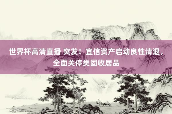 世界杯高清直播 突发!宜信资产启动良性清退,全面关停类固收居品