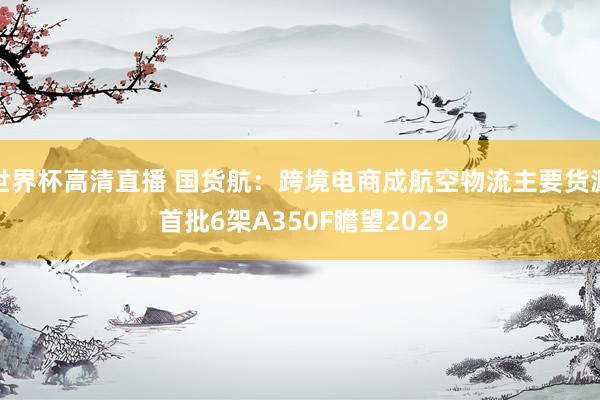 世界杯高清直播 国货航:跨境电商成航空物流主要货源 首批6架A350F瞻望2029
