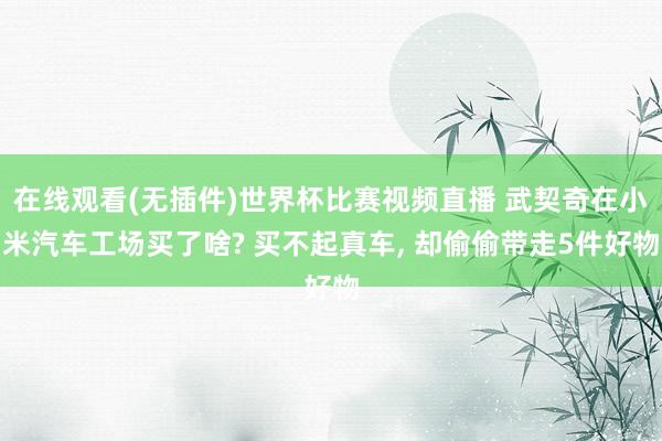 在线观看(无插件)世界杯比赛视频直播 武契奇在小米汽车工场买了啥? 买不起真车， 却偷偷带走5件好物