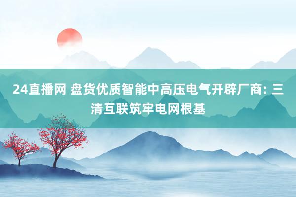 24直播网 盘货优质智能中高压电气开辟厂商: 三清互联筑牢电网根基