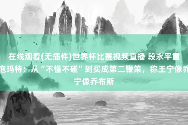 在线观看(无插件)世界杯比赛视频直播 段永平重估泡泡玛特:从“不懂不碰”到买成第二鞭策,称王宁像乔布斯
