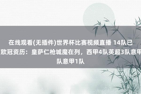 在线观看(无插件)世界杯比赛视频直播 14队已锁定欧冠资历：皇萨仁枪城魔在列，西甲4队英超3队意甲1队
