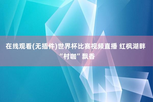 在线观看(无插件)世界杯比赛视频直播 红枫湖畔 “村咖”飘香