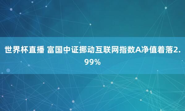 世界杯直播 富国中证挪动互联网指数A净值着落2.99%