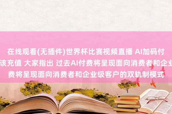 在线观看(无插件)世界杯比赛视频直播 AI加码付费职业 凡俗用户该不该充值 大家指出 过去AI付费将呈现面向消费者和企业级客户的双轨制模式