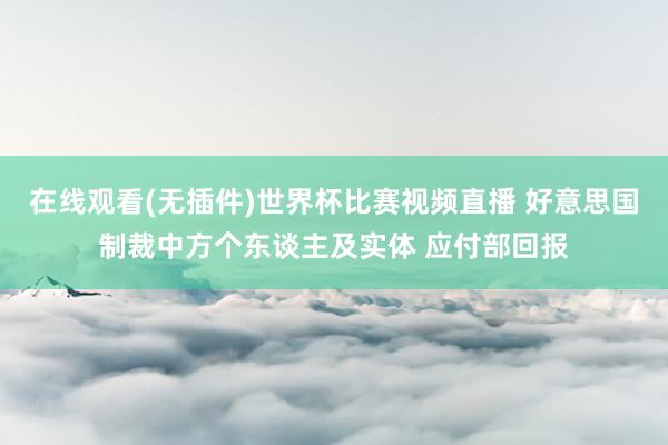 在线观看(无插件)世界杯比赛视频直播 好意思国制裁中方个东谈主及实体 应付部回报