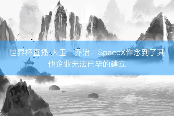 世界杯直播 大卫・乔治:SpaceX作念到了其他企业无法已毕的建立