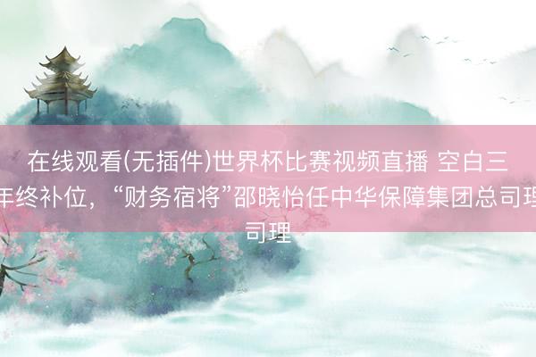 在线观看(无插件)世界杯比赛视频直播 空白三年终补位,“财务宿将”邵晓怡任中华保障集团总司理