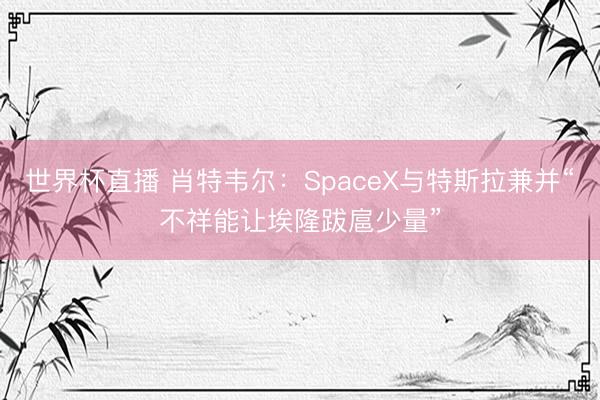 世界杯直播 肖特韦尔:SpaceX与特斯拉兼并“不祥能让埃隆跋扈少量”