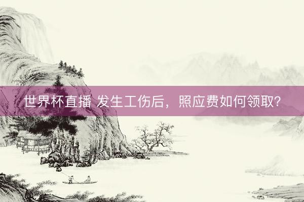 世界杯直播 发生工伤后,照应费如何领取?