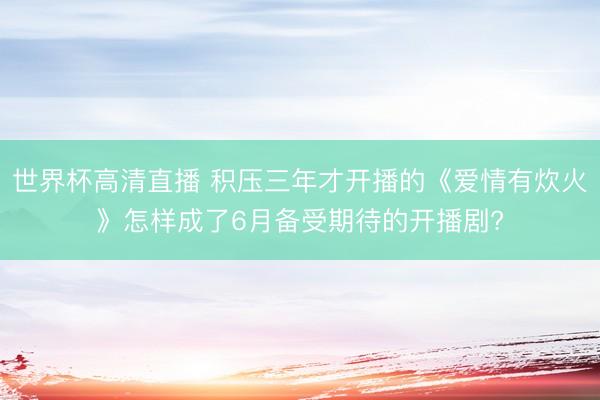 世界杯高清直播 积压三年才开播的《爱情有炊火》怎样成了6月备受期待的开播剧?