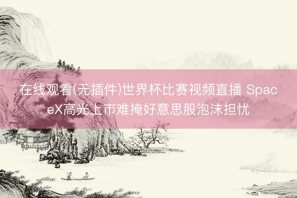 在线观看(无插件)世界杯比赛视频直播 SpaceX高光上市难掩好意思股泡沫担忧