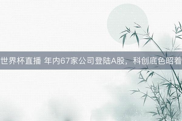 世界杯直播 年内67家公司登陆A股,科创底色昭着