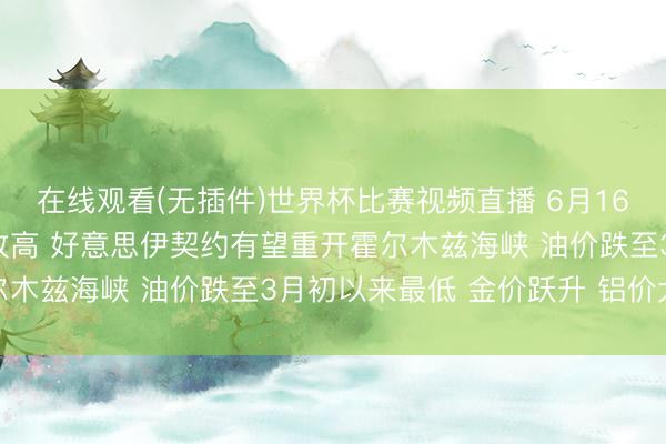 在线观看(无插件)世界杯比赛视频直播 6月16日隔夜要闻:好意思股收高 好意思伊契约有望重开霍尔木兹海峡 油价跌至3月初以来最低 金价跃升 铝价大跌