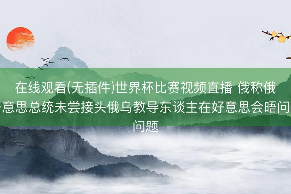 在线观看(无插件)世界杯比赛视频直播 俄称俄好意思总统未尝接头俄乌教导东谈主在好意思会晤问题