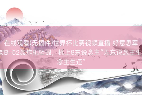 在线观看(无插件)世界杯比赛视频直播 好意思军一架B-52轰炸机坠毁,机上8东说念主“无东说念主生还”