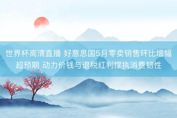 世界杯高清直播 好意思国5月零卖销售环比增幅超预期 动力价钱与退税红利撑执消费韧性