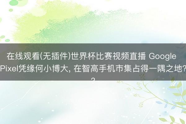 在线观看(无插件)世界杯比赛视频直播 Google Pixel凭缘何小博大, 在智高手机市集占得一隅之地?