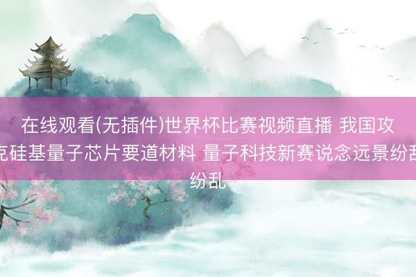 在线观看(无插件)世界杯比赛视频直播 我国攻克硅基量子芯片要道材料 量子科技新赛说念远景纷乱